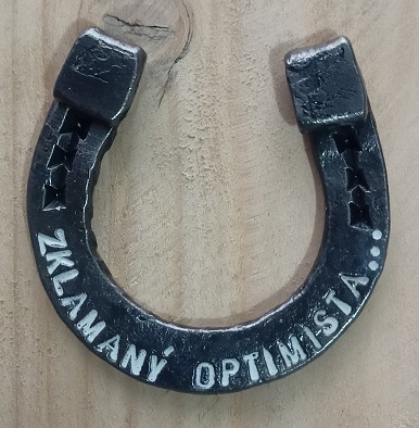 Zklamaný optimista