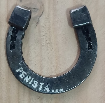 Penista