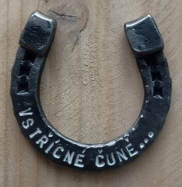 Vstřícné čuně
