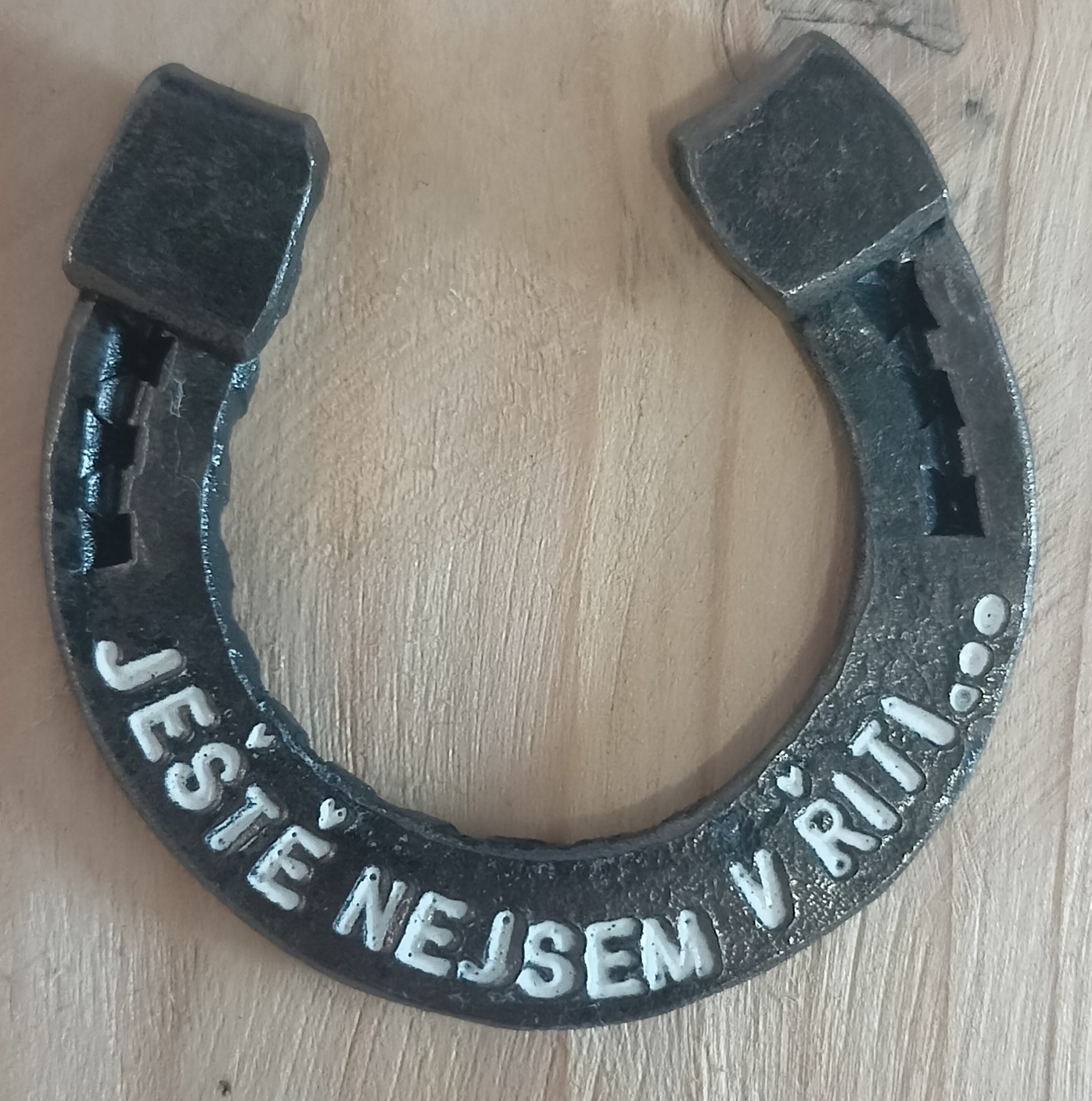 Ještě nejsem v ř**i