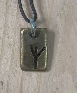 Algiz - ᛉ ( 28.1. - 11.2. )